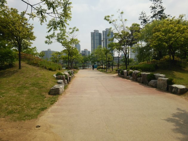 上洞湖公園内の風景